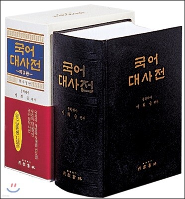 국어대사전
