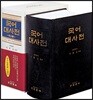 국어대사전