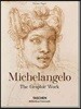 Michelangelo. the Graphic Work