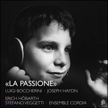Stefano Veggetti 열정 - 루이지 보케리니 / 하이든: 협주곡과 신포니아 (Luigi Boccherini / Haydn: Concertos &amp; Sinfonia)