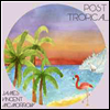 James Vincent Mcmorrow - Post Tropical (Vinyl LP)