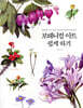 보태니컬 아트 쉽게 하기