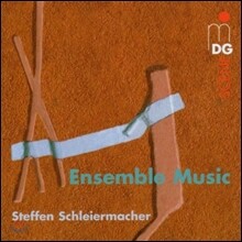 Ensemble Avantgarde 슐라이어마허: 앙상블 뮤직 (Steffen Schleiermacher: Ensemble Music)