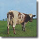 Pink Floyd - Atom Heart Mother