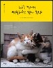 고양이는 고양이다 1 : 하루를 견디면 선물처럼 밤이 온다