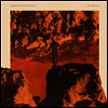 Here We Go Magic - Be Small (LP)