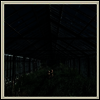 Foxing - Dealer (MP3 Download)(Colored LP)