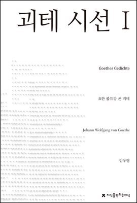 괴테 시선 1 - 지식을만드는지식 시선집