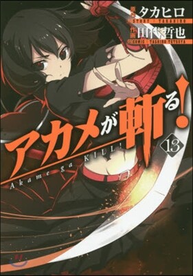 アカメが斬る! 13