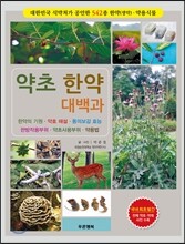 약초 한약 대백과