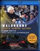 Simon Rattle 베를린 필하모니 2015년 발트뷔네 콘서트 (Waldbuhne 2015)