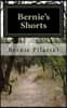 Bernie's Shorts: An Anthology of Assorted Short Fiction