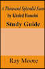 A Thousand Splendid Suns by Khaled Housseini: A Study Guide