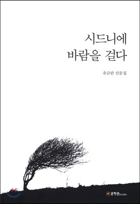 시드니에 바람을 걸다