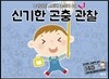 신기한 곤충 관찰