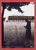 성 막시밀리아노 마리아 콜베 St. Massimiliano Maria Kolbe