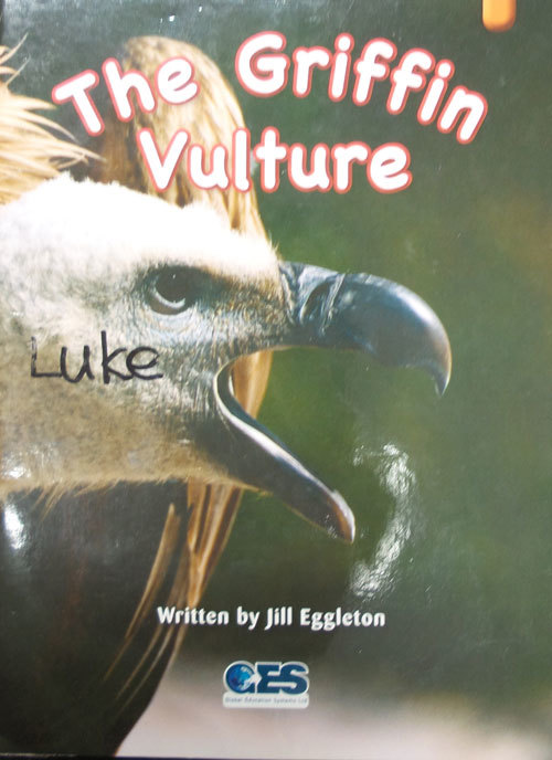 The Griffin Vulture