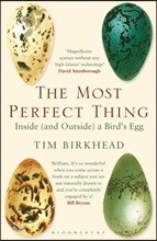 The Most Perfect Thing