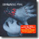 Drowning Pool - Sinner