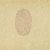 Devendra Banhart - Nino Rojo