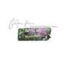 Cocteau Twins - Lullabies To Violaine:Singles & Extended Plays Vol.1