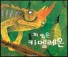 푸름이독서영재10000 : 꾀 많은 카멜레온
