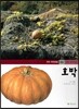 연두자연관찰 64 호박 (곡식과 열매, 식물/속씨식물)