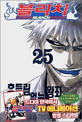 블리치 BLEACH 25