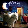 Fall Out Boy - Infinity On High