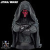 스타워즈 Darth Maul Mini Bust