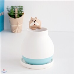 [판매안함] [할인+적립]데꼴 애니멀 모이스처 팟 에코 가습기