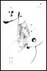 화우(花雨)