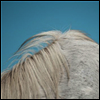 Widowspeak - All Yours (LP)