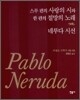 파블로 네루다 시집 세트 (스무 편의 사랑의 시와 한 편의 절망의 노래 + 네루다 시선)