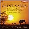 Neeme Jarvi / Truls Mork 생상스: 첼로 협주곡, 동물의 사육제 [피아노 협주곡 편성], (Saint-Saens: Cello Concertos, Le Carnaval des Animaux)