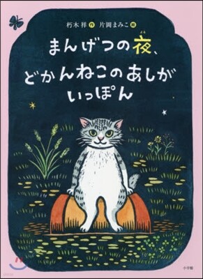 まんげつの夜,どかんねこのあしがいっぽん