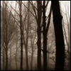 Blueneck - Scars Of The Midwest (LP)