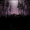 Birds Of Passage - This Kindly Slumber (LP)