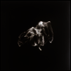 Hydras Dream - Little Match Girl (LP)