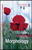 Understanding Morphology