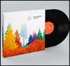 Nikolaus Harnoncourt 니콜라우스 아르농쿠르가 지휘하는 슈베르트 교향곡 (Schubert: Symphonies) [8LP]