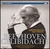 Sergiu Celibidache 베토벤: 교향곡 2번, 3번 '영웅', 4번, 레오노레 서곡 3번 - 세르주 첼리비다케 (Beethoven: Symphonies 'Eroica', Leonore Overture)