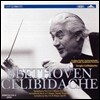 Sergiu Celibidache 베토벤: 교향곡 5번, 6번 '전원', 7번 - 세르주 첼리비다케 (Beethoven: Symphonies Op.67, Op.68 'Pastoral', Op.92)