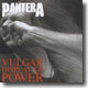 Pantera - Vulgar Display Of Power