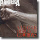 Pantera - Vulgar Display Of Cowboys