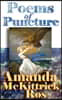 Poems of Puncture