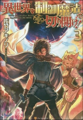 異世界を制御魔法で切り開け!   3