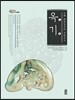 중국 시안의 문화유산 : 옥기