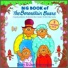 Big Book of the Berenstain Bears