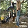 Quatuor Voce 모차르트: 현악 오중주 3번 KV515 / 브람스: 현악 오중주 2번 Op.111 (Mozart / Brahms: String Quintets)